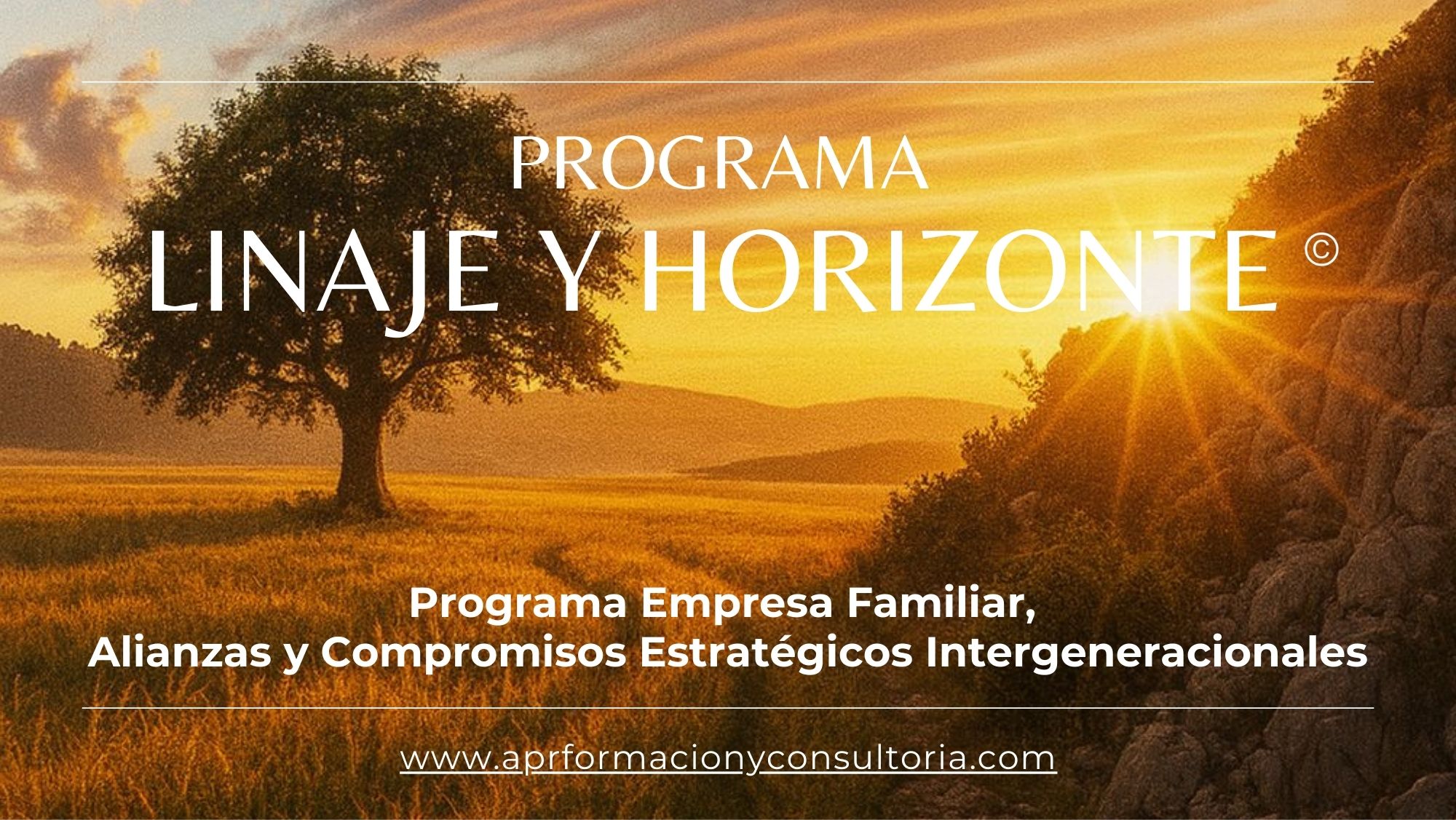 Programa Empresa Familiar, Alianzas y Compromisos Estratégicos Intergeneracionales