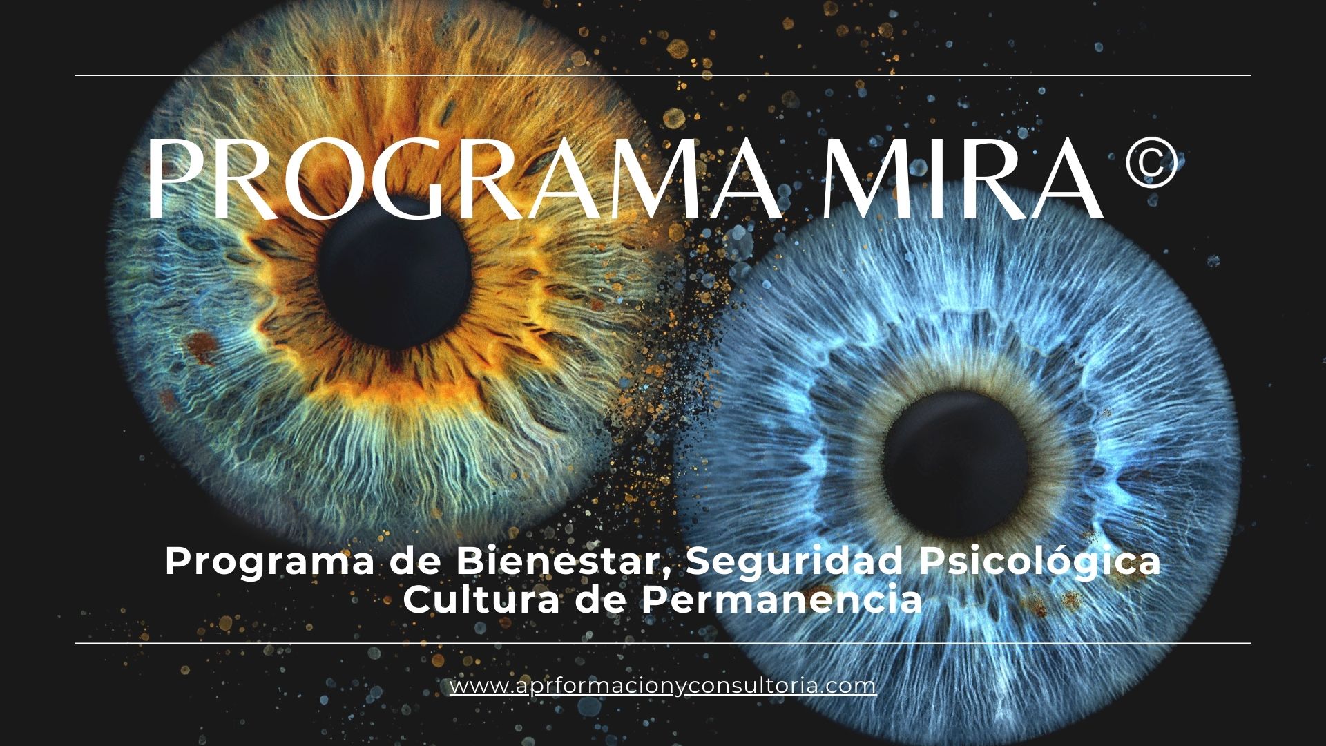 Programa de Bienestar, Seguridad Psicológica Cultura de Permanencia
